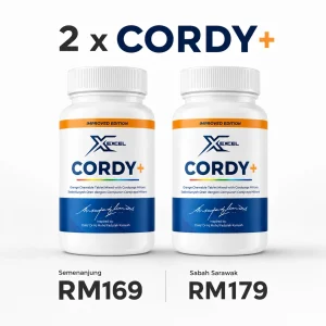 2 Cordy+